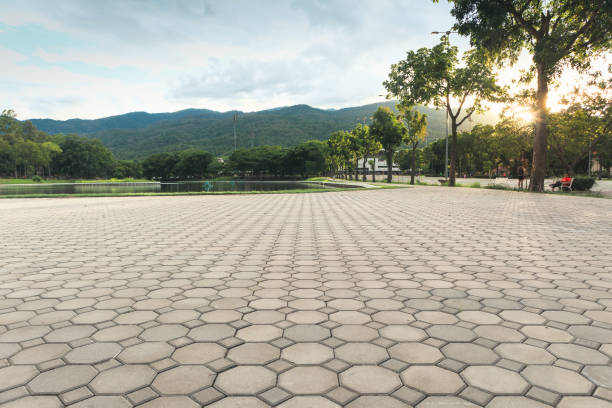 Best Commercial Driveway Pavers  in Town Line, NY